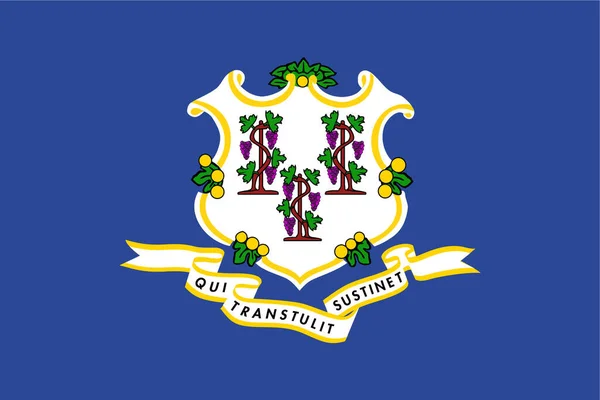 Connecticut Icône État Drapeau Dans Style Plat — Image vectorielle