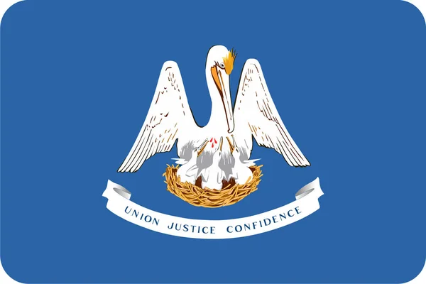 Vlag Louisiana Statuspictogram Vlaggencategorie — Stockvector