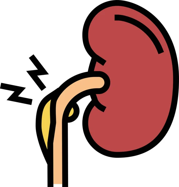 Nephritic Syndrome Nephritis Icon Filledoutline Style — Stock Vector