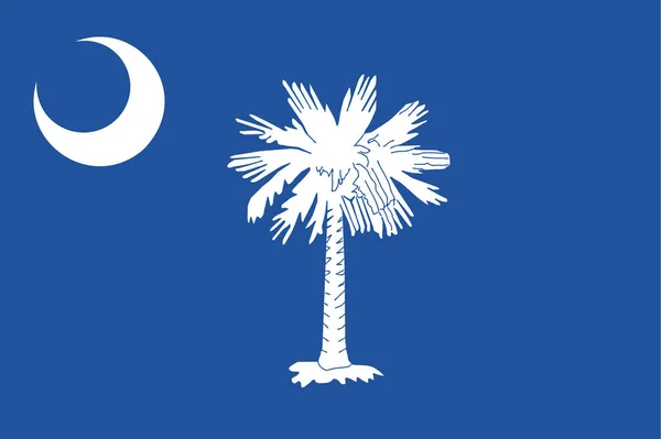Ícone Bandeira Carolina Americana Estilo Plano — Vetor de Stock