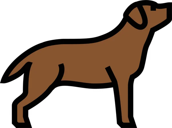 Labrador Retriever Hond Pictogram — Stockvector