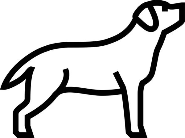 Labrador Retriever Hond Pictogram Omtrek Stijl — Stockvector