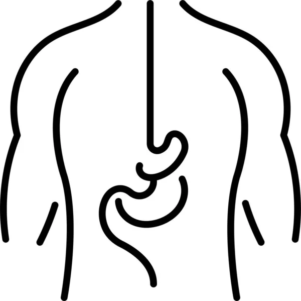 Anatomy Organ Stomach Icon — Stock Vector