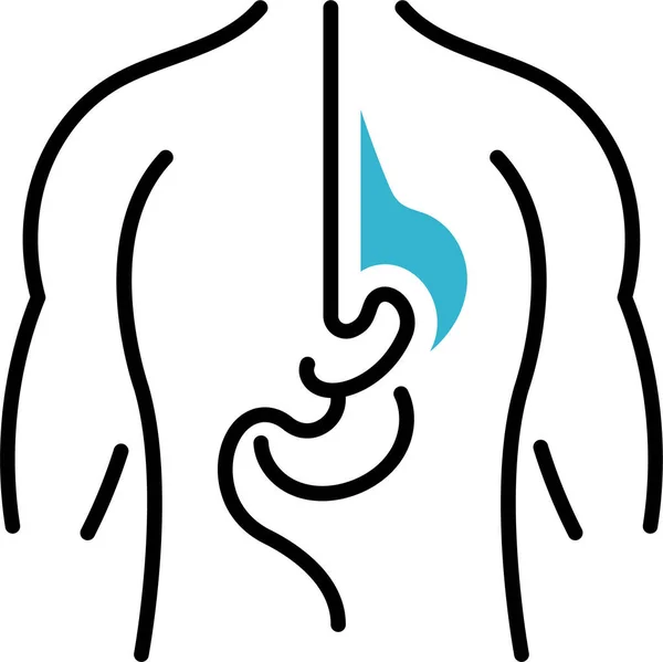 Mide Anatomisi Organları Simgesi — Stok Vektör