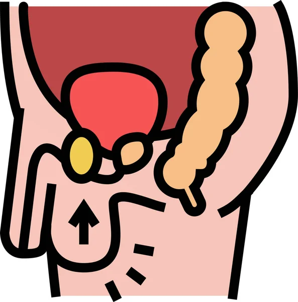 Cryptorchidism Colitis Organ Icon — 스톡 벡터