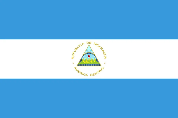 Bandera Del País Icono Nacional Estilo Plano — Archivo Imágenes Vectoriales