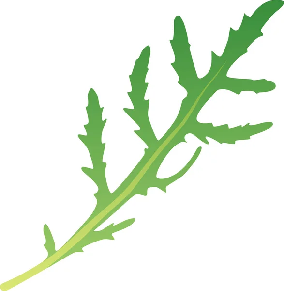 Icône Verdure Alimentaire Roquette Dans Style Lisse — Image vectorielle