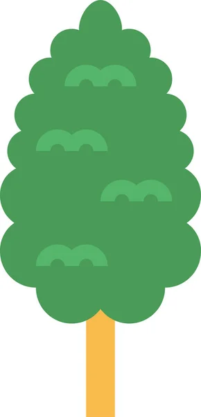 平坦风格的植物柏树自然图标 — 图库矢量图片
