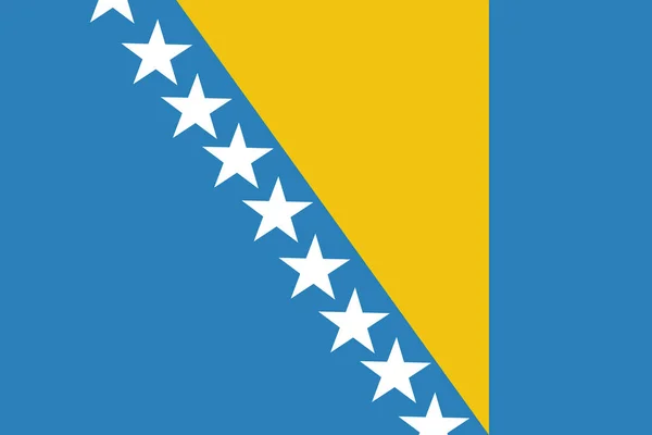 Bosnia Icono Bandera País Estilo Plano — Vector de stock