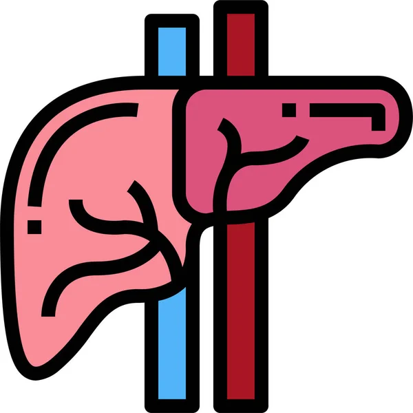 Anatomia Fígado Ícone Médico Categoria Hospitshealthcare — Vetor de Stock