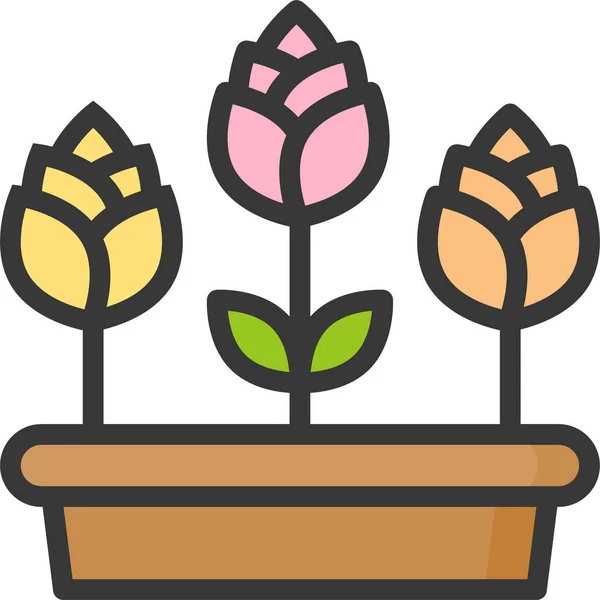 植物花序花序 — 图库矢量图片