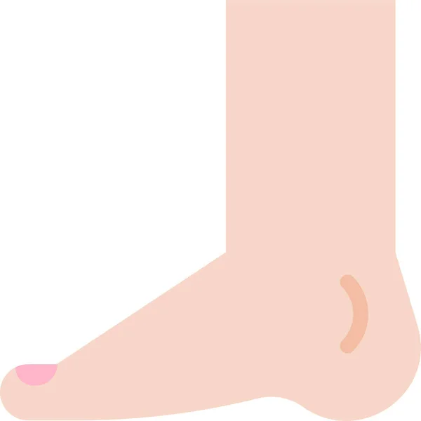 Anatomy Foot Healthcare Icon Flat Style — Stock Vector