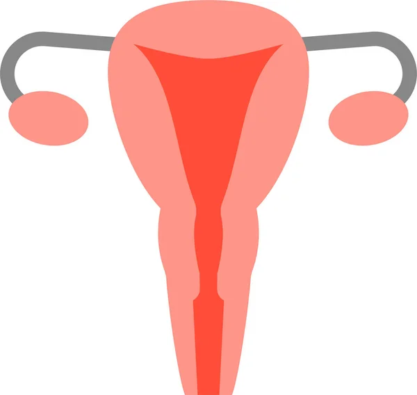 Anatomie Hôpital Organe Interne Icône Style Plat — Image vectorielle