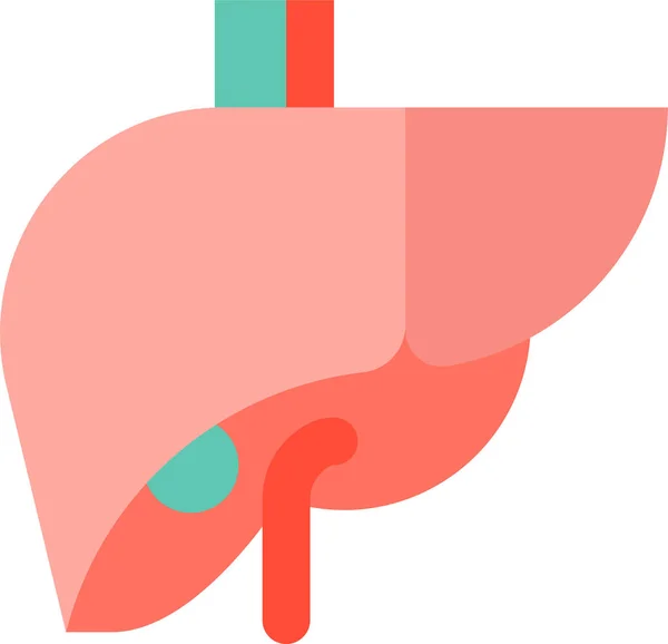 Anatomy Hospital Internal Organ Icon Flat Style — Διανυσματικό Αρχείο