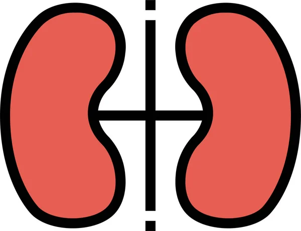 Disease Kidney Medical Icon Filledoutline Style — Stock Vector