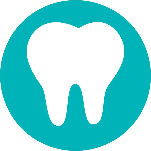 Anatomia Dos Dentes Ícone Corpo Estilo Sólido — Vetor de Stock