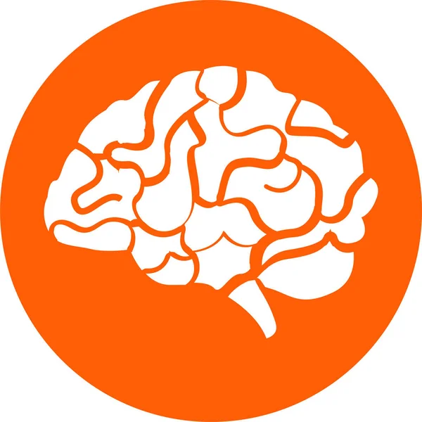 Brain Human Anatomy Icon Solid Style — Stock Vector