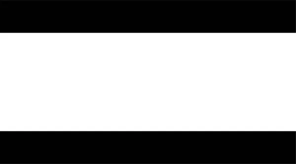 Schwarz Weiß Vektorillustration Eines Hintergrundes Eines Schönen Musters — Stockvektor