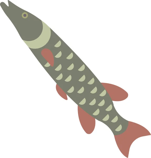 Fish Freshwater Pike Icon Flat Style — Stock Vector