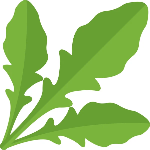 Зеленый Соррель Икона Плоском Стиле — стоковый вектор