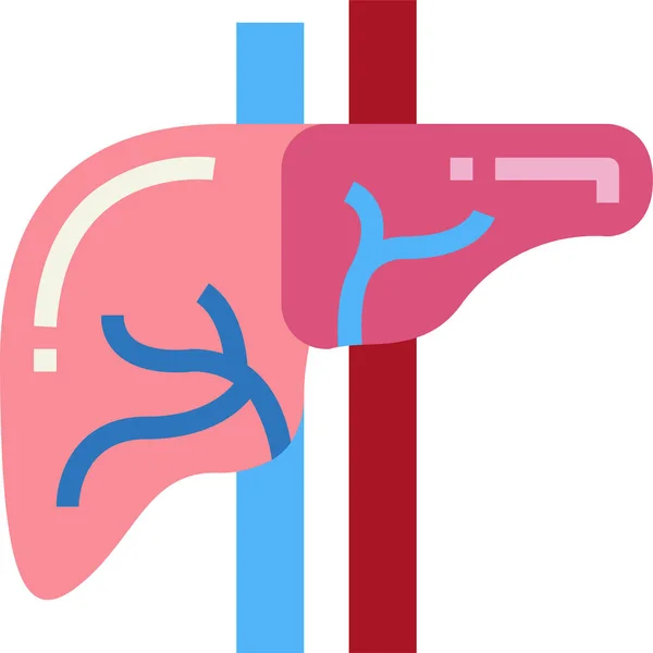 Anatomía Icono Médico Del Hígado Estilo Plano — Archivo Imágenes Vectoriales