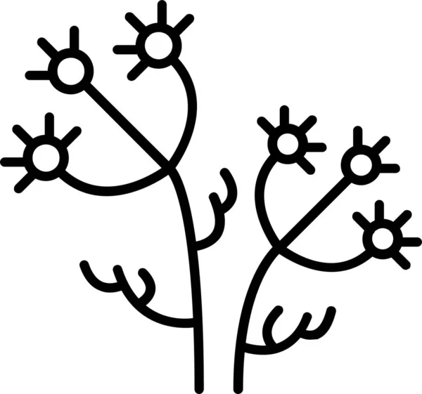 Caraway Садоводство Икона Травы — стоковый вектор