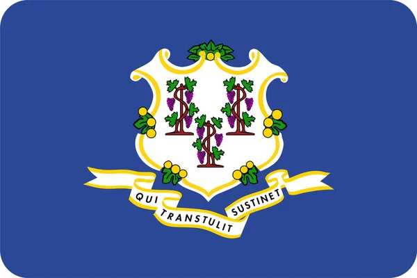 Connecticut Vlaggenstaat Pictogram Vlaggencategorie — Stockvector