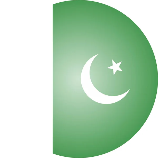 País Bandera Pakistan Icono Estilo Isométrico — Archivo Imágenes Vectoriales