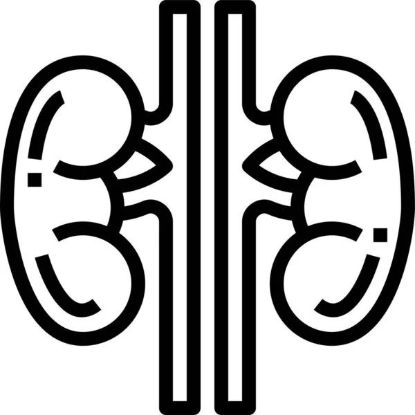 Kidneys Medical Organ Icon Outline Style — Stock Vector