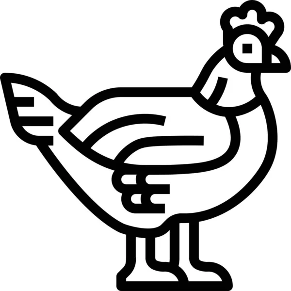 Poulets Poulet Poule Icône — Image vectorielle