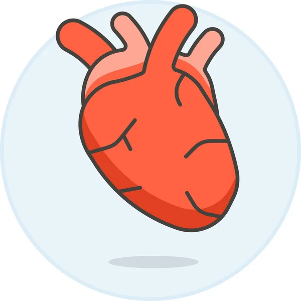 Cardiologia Ícone Condição Circulatória Categoria Hospitais Cuidados Saúde —  Vetores de Stock