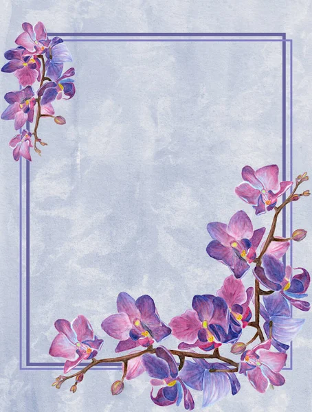 Virágkeret Festett Akvarell Téglalap Alakú Rózsaszín Bazsarózsa Virágok Háttérkártya Keret — Stock Fotó