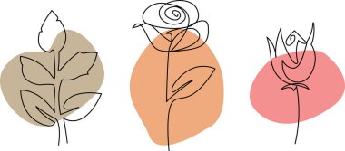 Rose bir sıra çiziyor. Moda, tekstil, ambalaj ve desen tasarımı için sanatsal tasarım unsurları. Satır sanatı