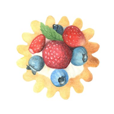 Tatlı ya da pasta suluboya çizimi. Beyazda izole edilmiş. Kremalı taze çilek..