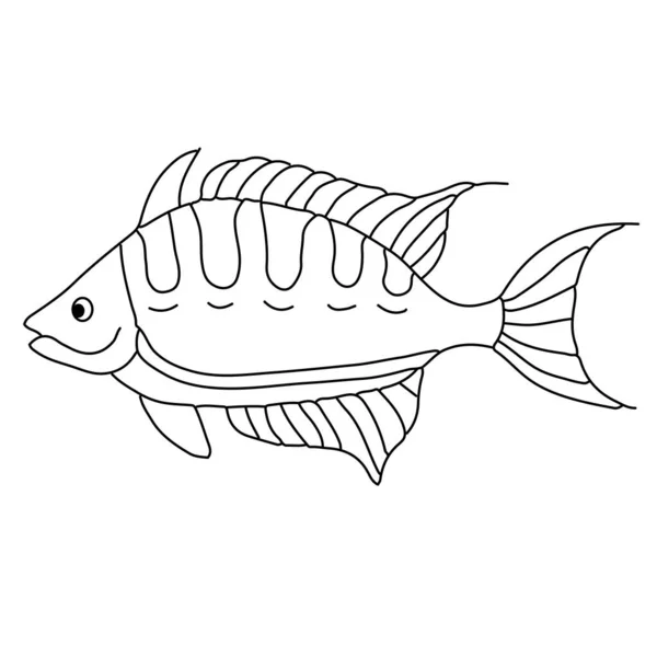 Fish Isolated White Line Drawing Design Element Isolated White — Stock Vector