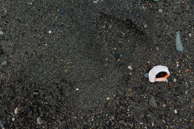 Beyaz kabuklu siyah kumlu plaj