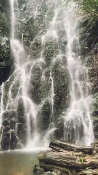 Bella cascata chiara video immagine verticale — Video Stock