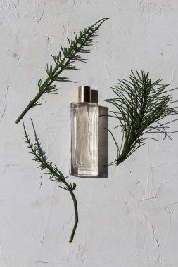 Beyaz arka planda yeşil yapraklarla çevrili cam bir parfüm şişesi.