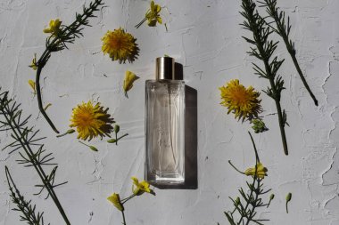 Logonuz için bir parfüm şişesinin düz bir kompozisyonu