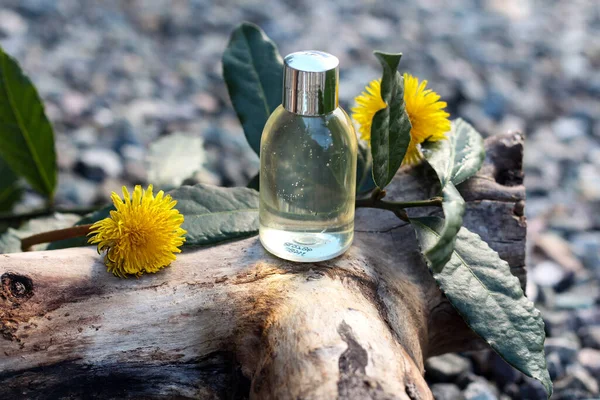 Clear cosmetic bottle standing in the nature on the woody background surrounded by green leaves and yellow flowers