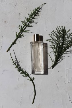 Cam parfüm şişesinin minimalist bileşimi 