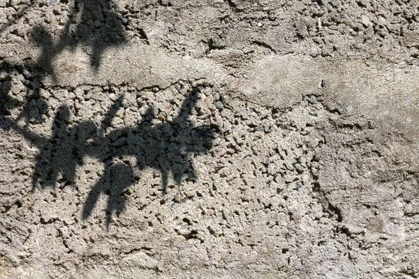 왼쪽 구석에 그림자가 있는 햇빛 속의 콘크리트 벽 — 스톡 사진