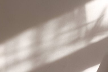 Bej bir duvara yansıtılan ışık ve gölgelerden oluşan bir kompozisyon