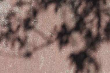 Fotoğraf örtüsü retro biçim arkaplanı