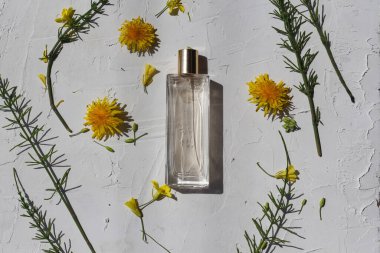 Model için parfüm şişesi