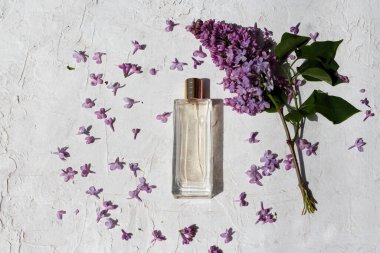 Parfüm şişesinin minimalist bileşimi.