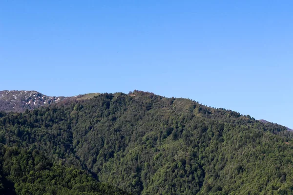 Güneşli bir günde yeşil dağ tepesi manzarası