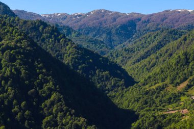 Güneşli bir yaz gününde doğanın dağlık arka planı