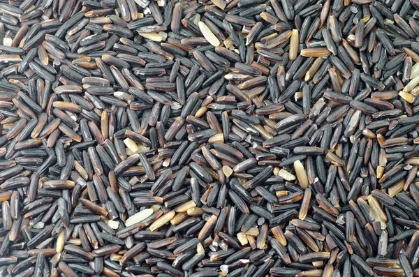Siyah pirinç veya riceberry