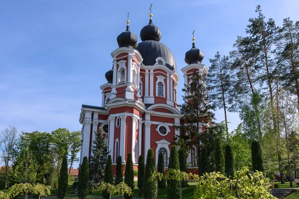 緑の木々 と青い空とモルドバの正統派 Curchi 修道院 — ストック写真